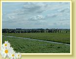 DSCF0002