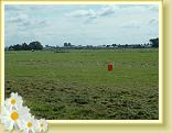 DSCF0006
