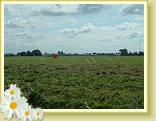 DSCF0007