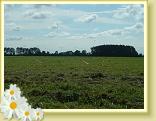 DSCF0008