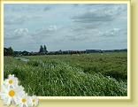 DSCF0009