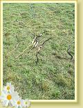 DSCF0014