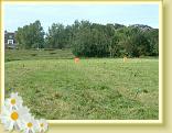DSCF0022