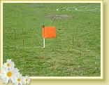 DSCF0023