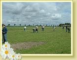 DSCF0029